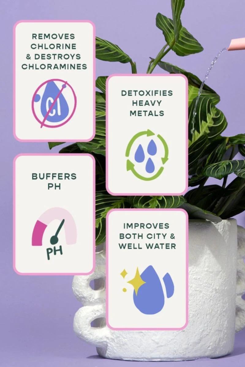 Southside Plants Houseplant Tap Water Conditioner - Image 2
