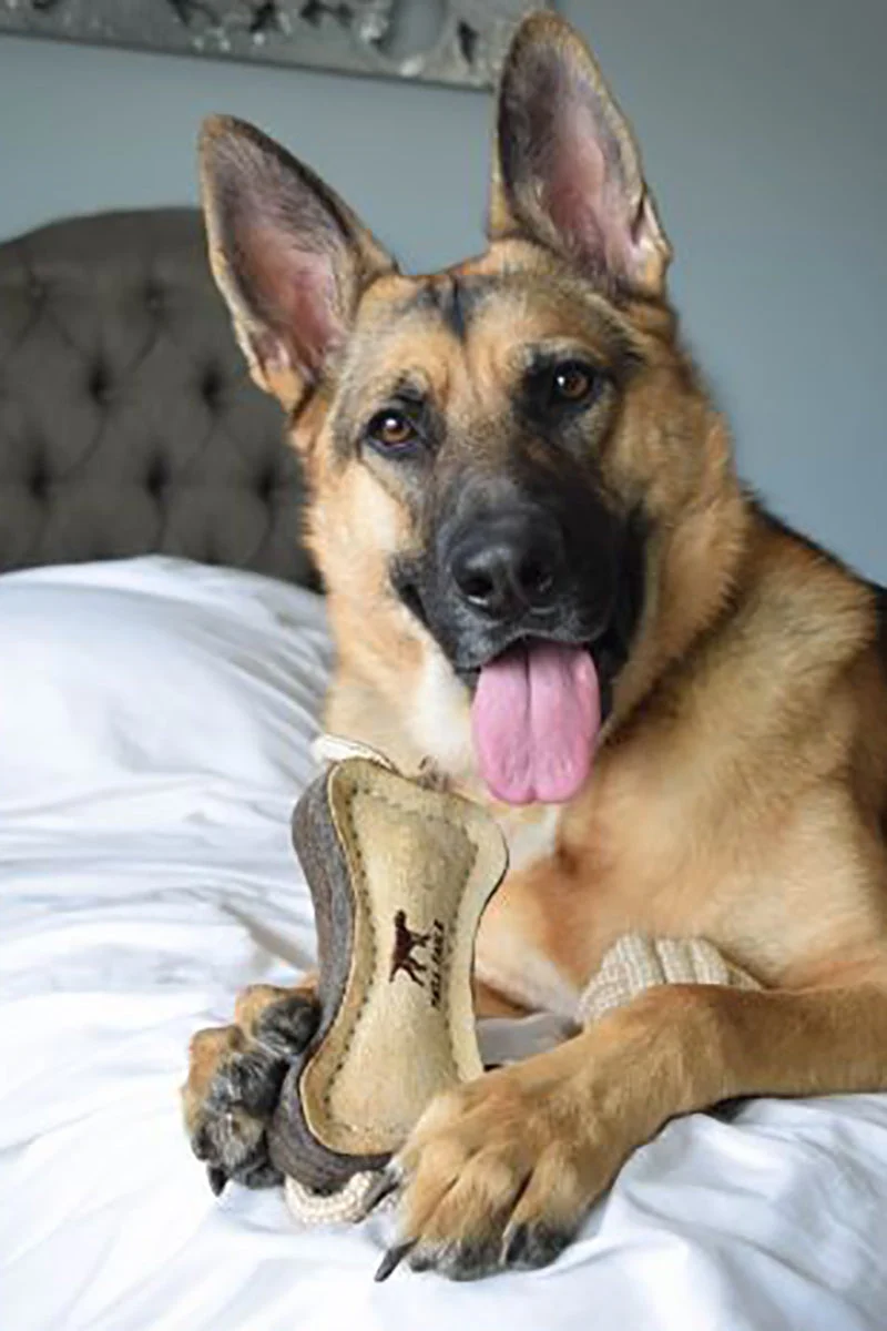 Tall Tails Natural Leather Bone Dog Toy 16" - Image 2