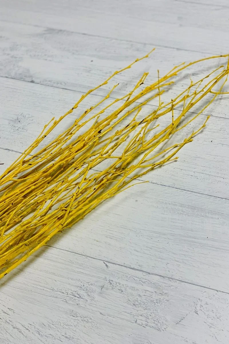 Birch Tips, Painted 36"-48" Bunch Yellow