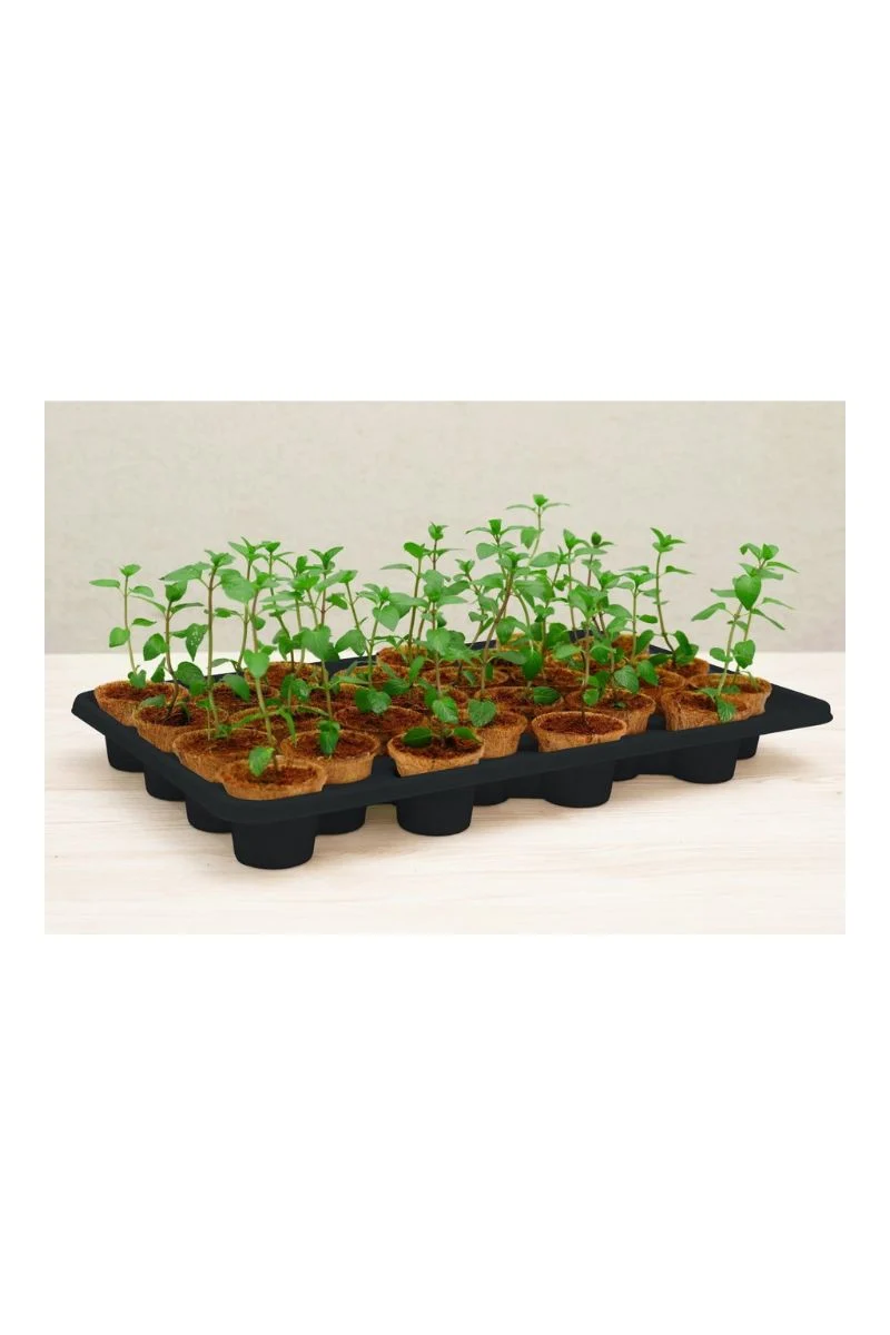 PlantBest Self-Watering System Kit 28 Coir Pots - Image 2