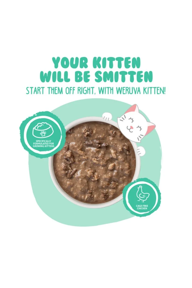Weruva Kitten Chicken & Tuna Gravy Canned Cat Food 3 oz - Image 2