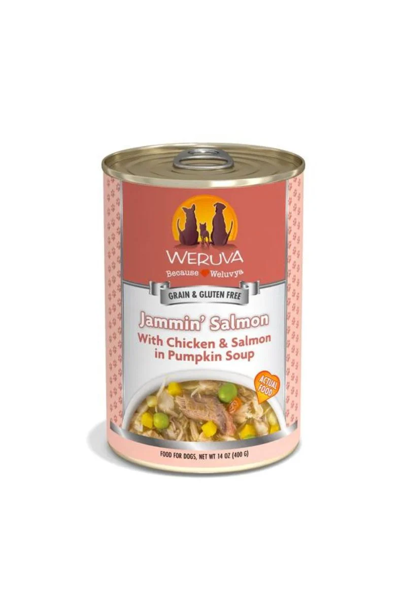 Weruva Jammin' Salmon Wet Dog Food 14 oz