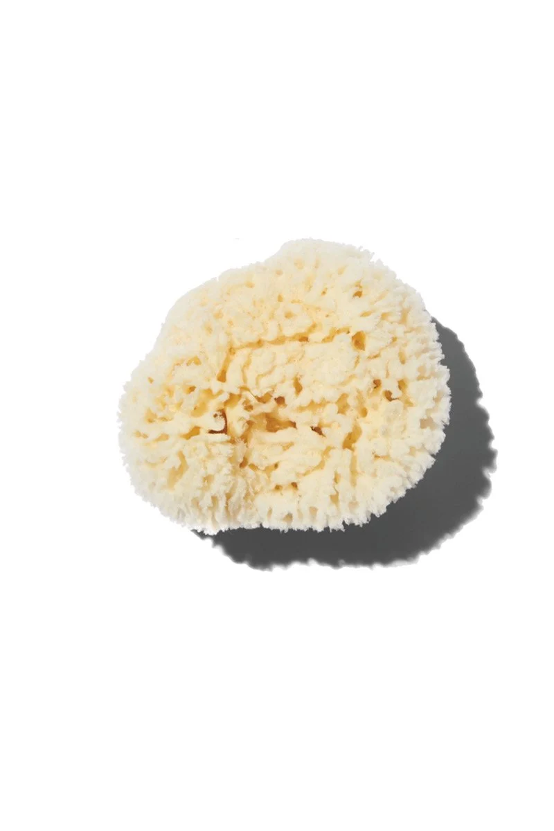 Baudelaire Wool Sea Sponge Set Small - Image 2