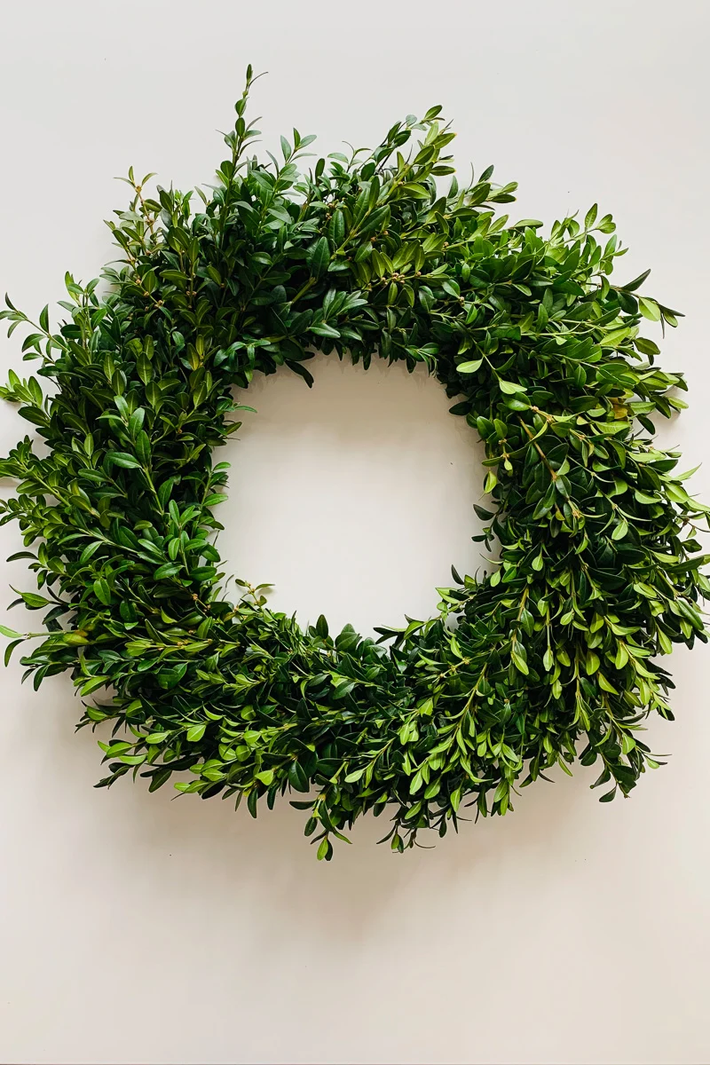 Wreath, Boxwood 16" - Image 2